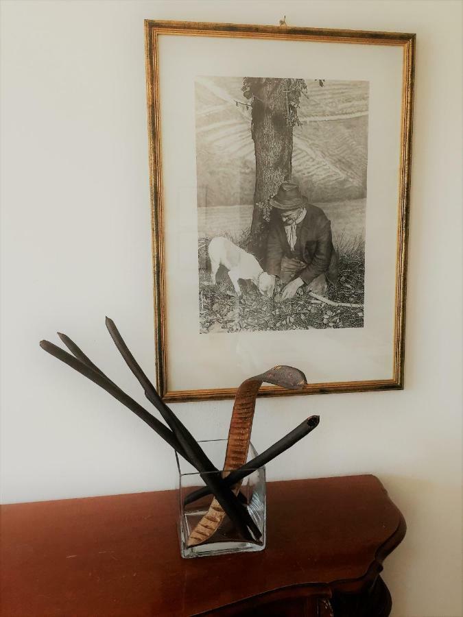 Apartament Casa "T" Alba  Zewnętrze zdjęcie