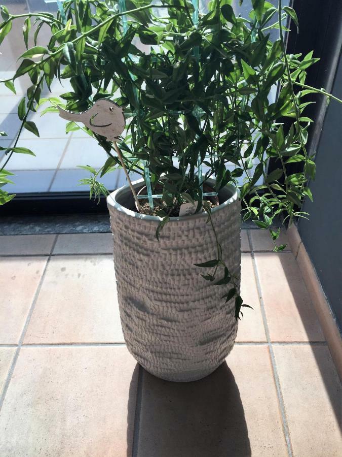 Apartament Casa "T" Alba  Zewnętrze zdjęcie